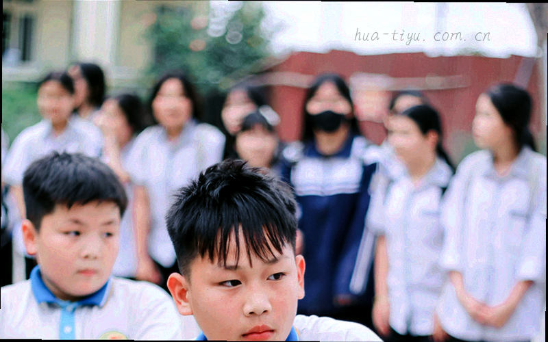 数据审校面板特写与琥珀更新时间校验标记